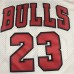 Beige Chicago Bull 23 Gold Jordan-2814735