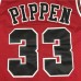 Chicago Bull 33 Final Edition Red-4682786