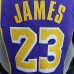 New Lakers Jordan James #23 Theme Purple Round Neck-3168004