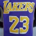 New Lakers Jordan James #23 Theme Purple Round Neck-3168004