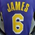 James #6 Lakers purple NBA jersey-7928704