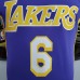 James #6 Lakers purple NBA jersey-7928704