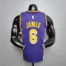 James #6 Lakers purple NBA jersey-7928704