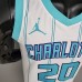 New Hornets HAYWARO#20 White-2676842