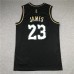 Los Angeles Lakers #23 New Black Gold-579614