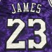 Los Angeles Lakers 23 Purple Constellation Edition NBA Jersey 1612914