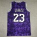 Los Angeles Lakers 23 Purple Constellation Edition NBA Jersey 1612914