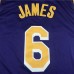 Los Angeles Lakers 6 Retro Purple NBA Jersey 5774994