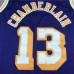 Los Angeles Lakers 13 Purple Retro NBA Jersey 2996814