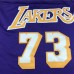 Los Angeles Lakers 73 Retro Purple NBA Jersey 728517