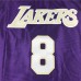 Los Angeles Lakers 8 Purple NBA Jersey 8849526