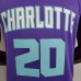 Charlotte Hornets Hayward#20 Purple NBA Jersey-4047505