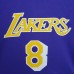 Mitchellness Los Angeles Lakers Purple No. 8 BRYANT Retro Mesh Short Sleeve-7134936