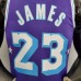 2022 75th Anniversary Howard #23 Lakers City Edition Purple NBA Jersey-9982911