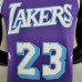 2022 75th Anniversary Howard #23 Lakers City Edition Purple NBA Jersey-9982911