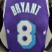 2022 75th Anniversary Howard #8 Lakers City Edition Purple NBA Jersey-8807787
