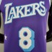 2022 75th Anniversary Howard #8 Lakers City Edition Purple NBA Jersey-8807787