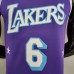2022 75th Anniversary Howard #6 Lakers City Edition Purple NBA Jersey-9384400
