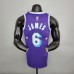 2022 75th Anniversary Howard #6 Lakers City Edition Purple NBA Jersey-9384400