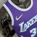 2022 75th Anniversary Howard #3 Lakers City Edition Purple NBA Jersey-1381478