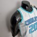 75th Anniversary Hayward #20 Charlotte Hornets White NBA Jersey-8824787