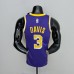 75th Anniversary Davis #3 Los Angeles Lakers Jordan Purple NBA Jersey-634526