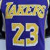 75th Anniversary James #23 Los Angeles Lakers Jordan Purple NBA Jersey-543483