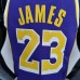 75th Anniversary James #23 Los Angeles Lakers Jordan Purple NBA Jersey-543483