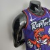 Toronto Raptors SIAKAM #43 Purple NBA Jersey-878564