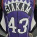 Toronto Raptors SIAKAM #43 Purple NBA Jersey-878564
