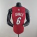 75th Anniversary Miami Heat Jordan JAMES #6 Burgundy NBA Jersey-9761446