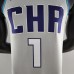 2019 Ball #1 Charlotte Hornets Grey NBA Jersey-298437