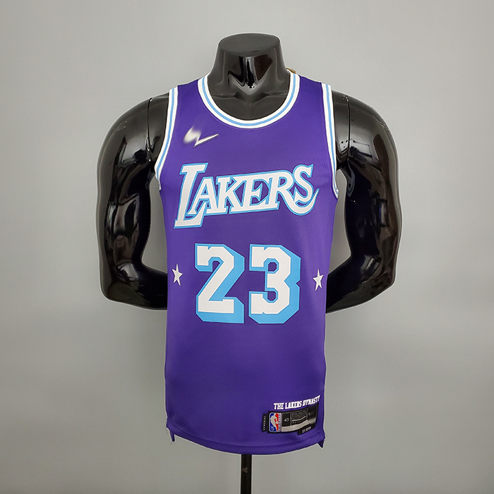 2022 75th Anniversary Howard #23 Lakers City Edition Purple NBA Jersey-9982911