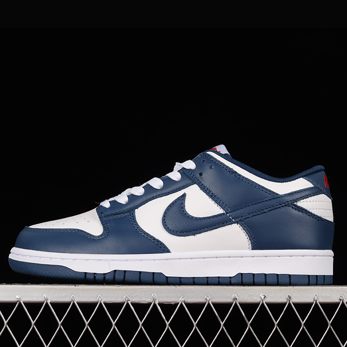 SB Dunk Low 