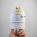 Superstar Running Shoes-White/Gold-8931048