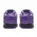 CONCEPTS x Dunk SB Low Pro Running Shoes-Purpel/White-8226694