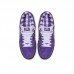 CONCEPTS x Dunk SB Low Pro Running Shoes-Purpel/White-8226694