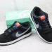 SB Dunk Low Running Shoes-Navy Blue/Black-8643688