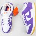 SB Dunk Low Running Shoes-Purple/White-5079989