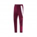 24/25 Bayern Munich Wine Red Edition Classic Jacket Training Suit (Top+Pant)-1485826