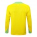 2024 Brazil Yellow Edition Classic Jacket Training Suit (Top+Pant)-4166106