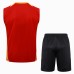 24/25 Bayern Munich Red Training jersey Kit Sleeveless Vest (Vest + Short)-9853075