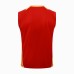 24/25 Bayern Munich Red Training jersey Kit Sleeveless Vest (Vest + Short)-9853075
