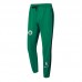 Boston Celtics Green Hooded NBA Edition Classic Jacket Training Suit (Top+Pant)-9230973