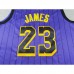 Los Angeles Lakers JAEMS #23 Purple City Edition NBA Jersey-4524082