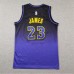 NBA Kids Los Angeles Lakers JAMES #23 Purple City Edition NBA Kids Jersey-4469376