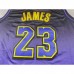 2025 Los Angeles Lakers JAMES #23 Purple City Edition NBA Jersey-2868447