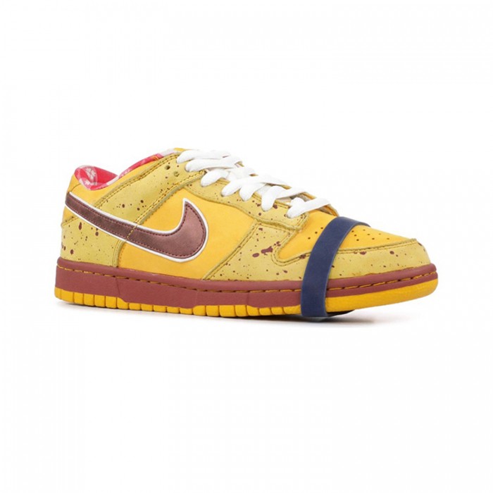 SB Dunk Low Running Shoes-Orange/Brown-2077879