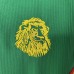 Retro 1998 Cameroon Home Green Jersey Version Short Sleeve-3934127