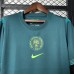 2025 Nigeria Away Green Jersey Version Short Sleeve-9152544